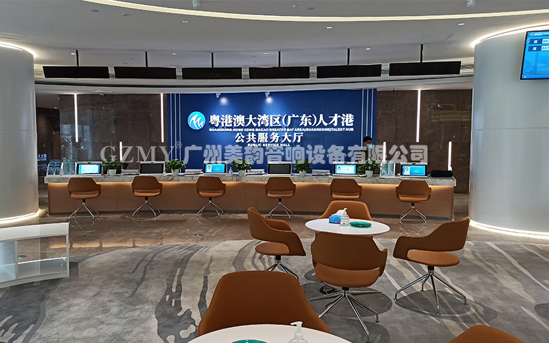 粵港澳大灣區（廣東）人才港